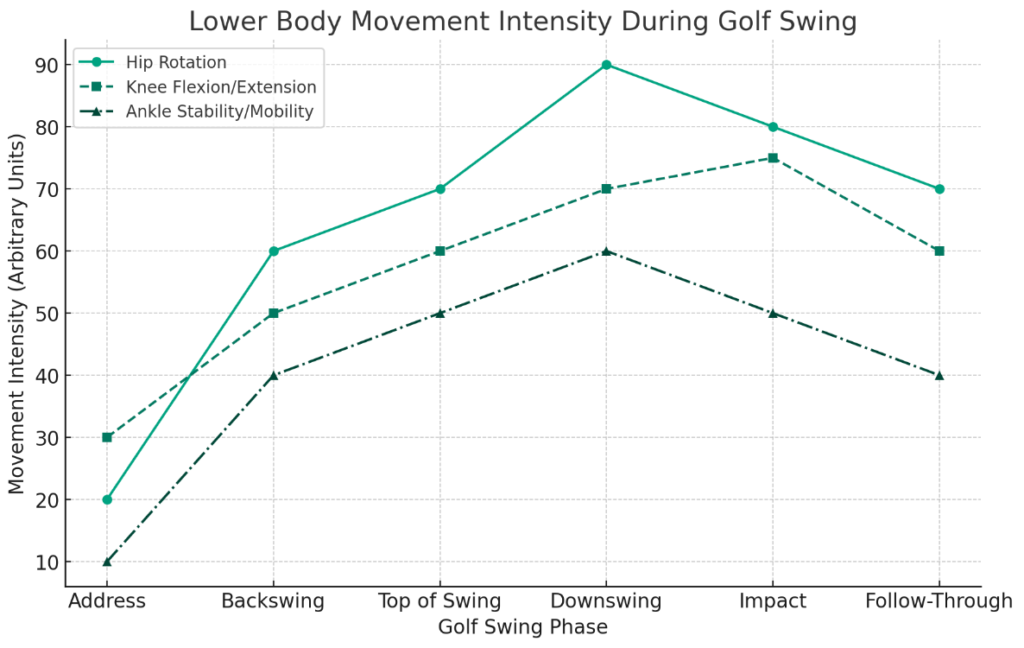  visual chart: intensity of lower body movements during different phases of a golf swing