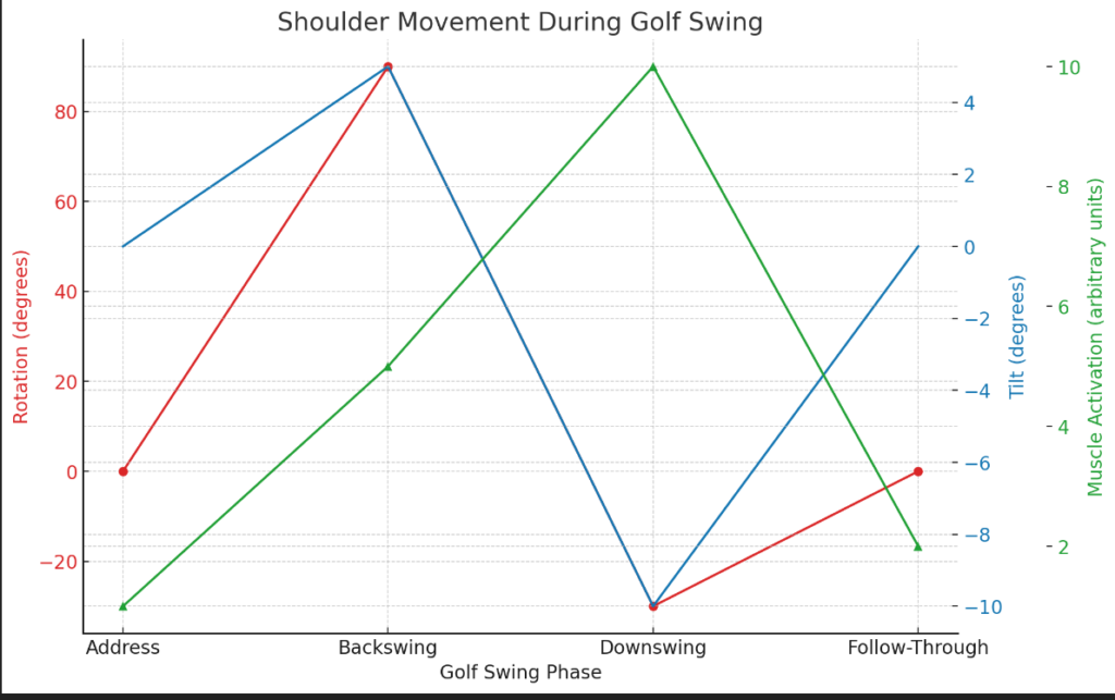  the shoulder movement during a golf swing